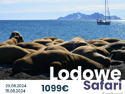 Lodowe Safari - Spitsbergen - 15.08.2024
